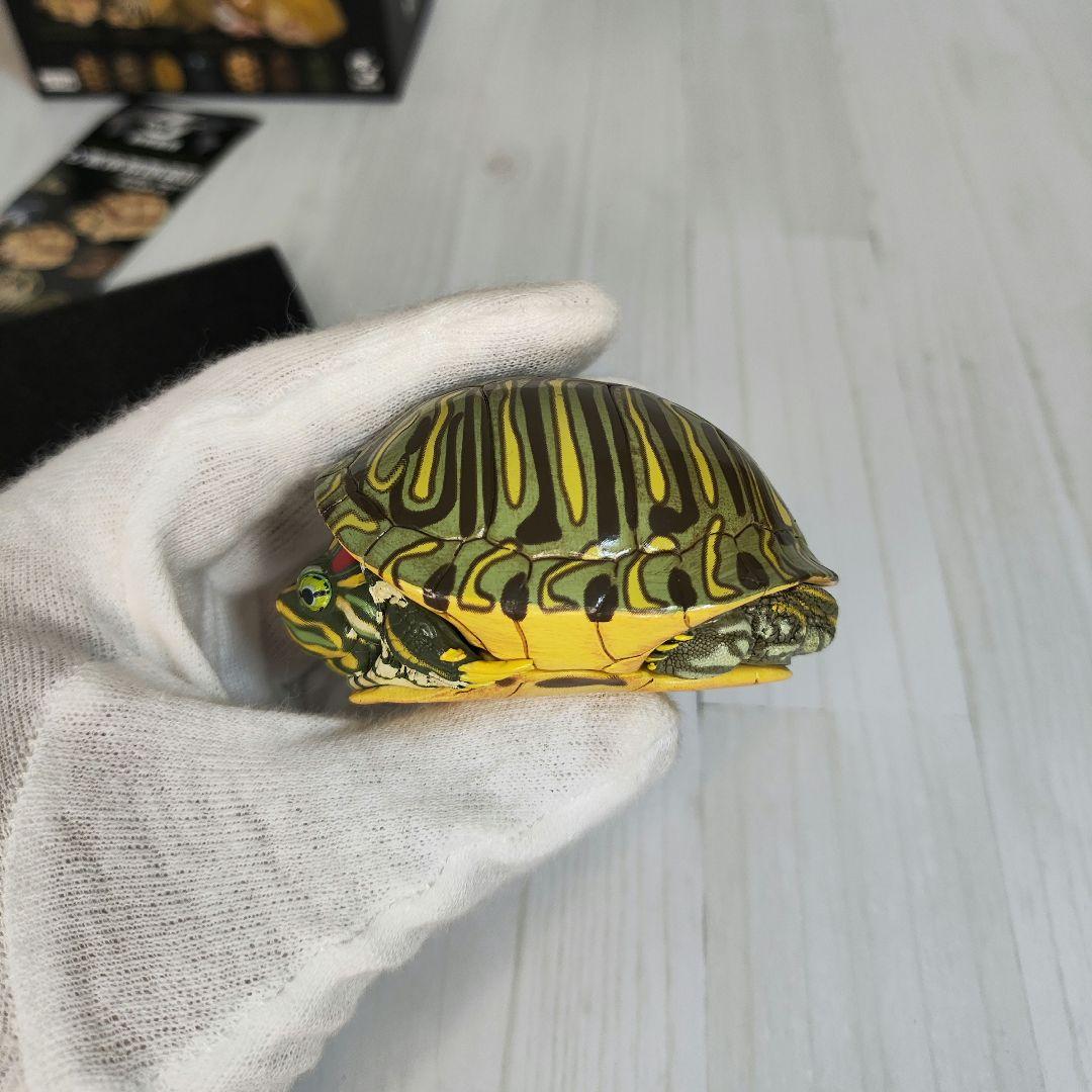 【動物の惑星】超激レア★アカミミガメ（廃盤シークレット）★フィギュア