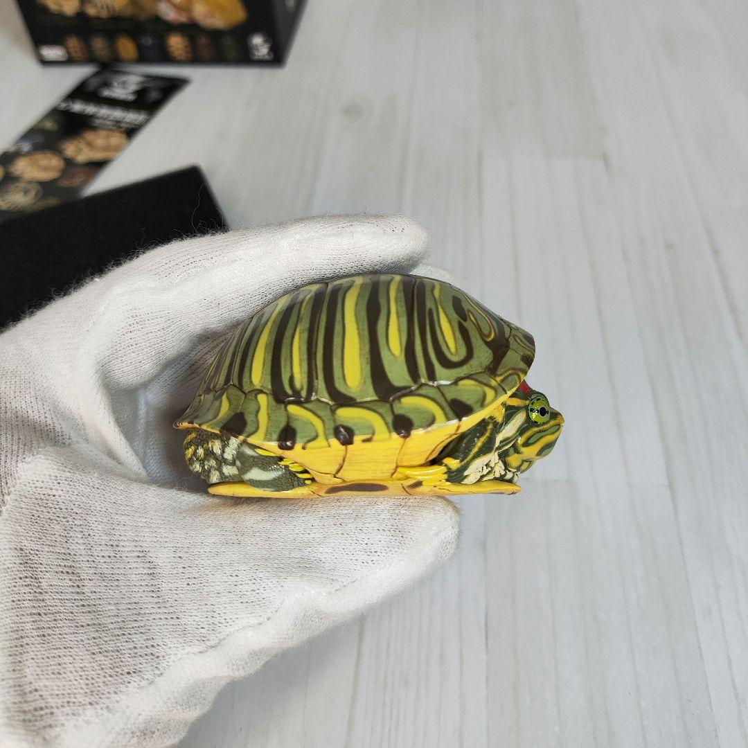 【動物の惑星】超激レア★アカミミガメ（廃盤シークレット）★フィギュア