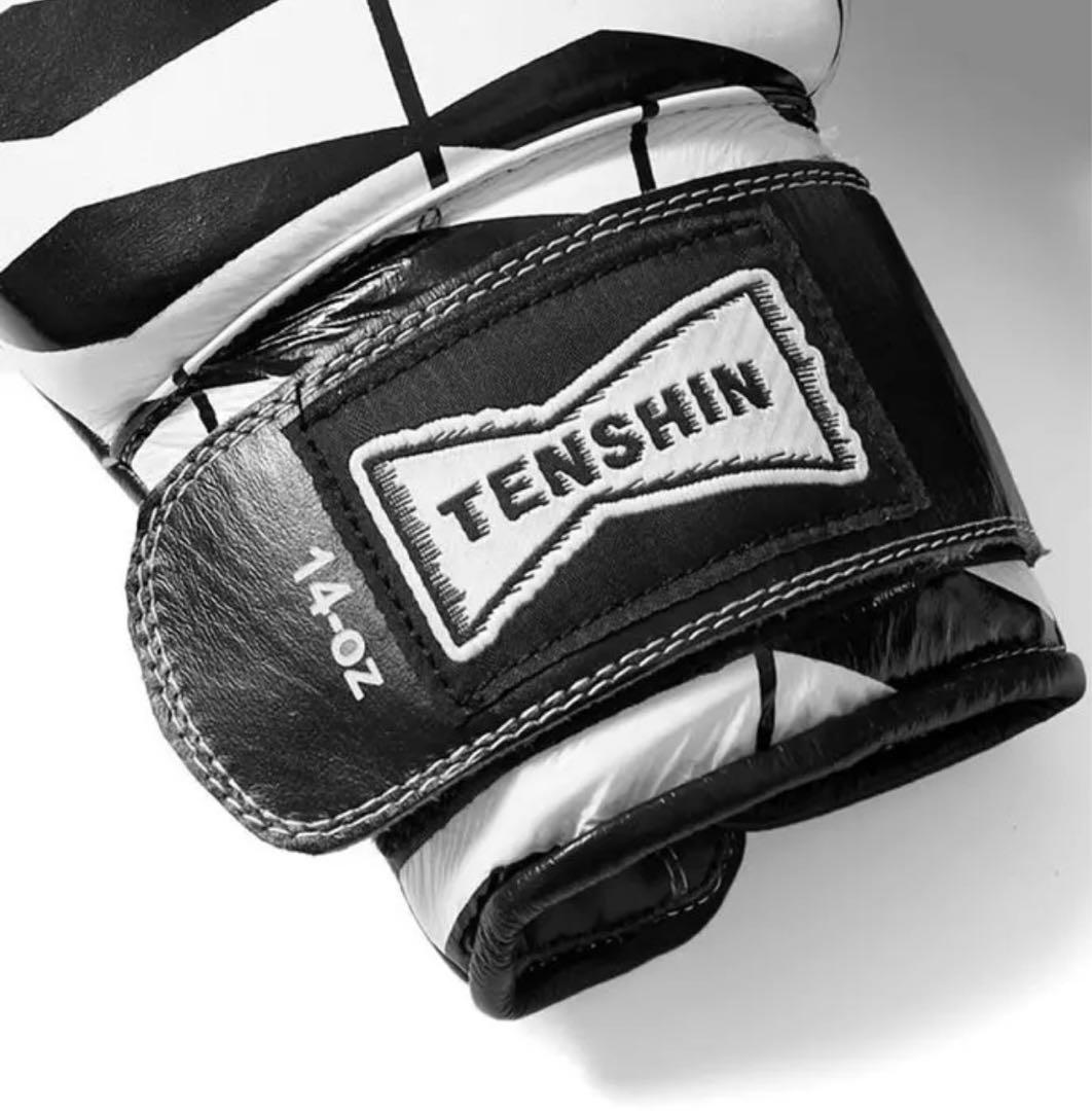 TEAM TENSHIN VERDY WASTED YOUTH 那須川天心