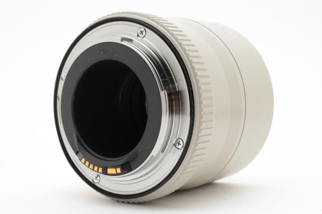 Canon キャノン EXTENDER EF 2x II エクステンダー レンズ