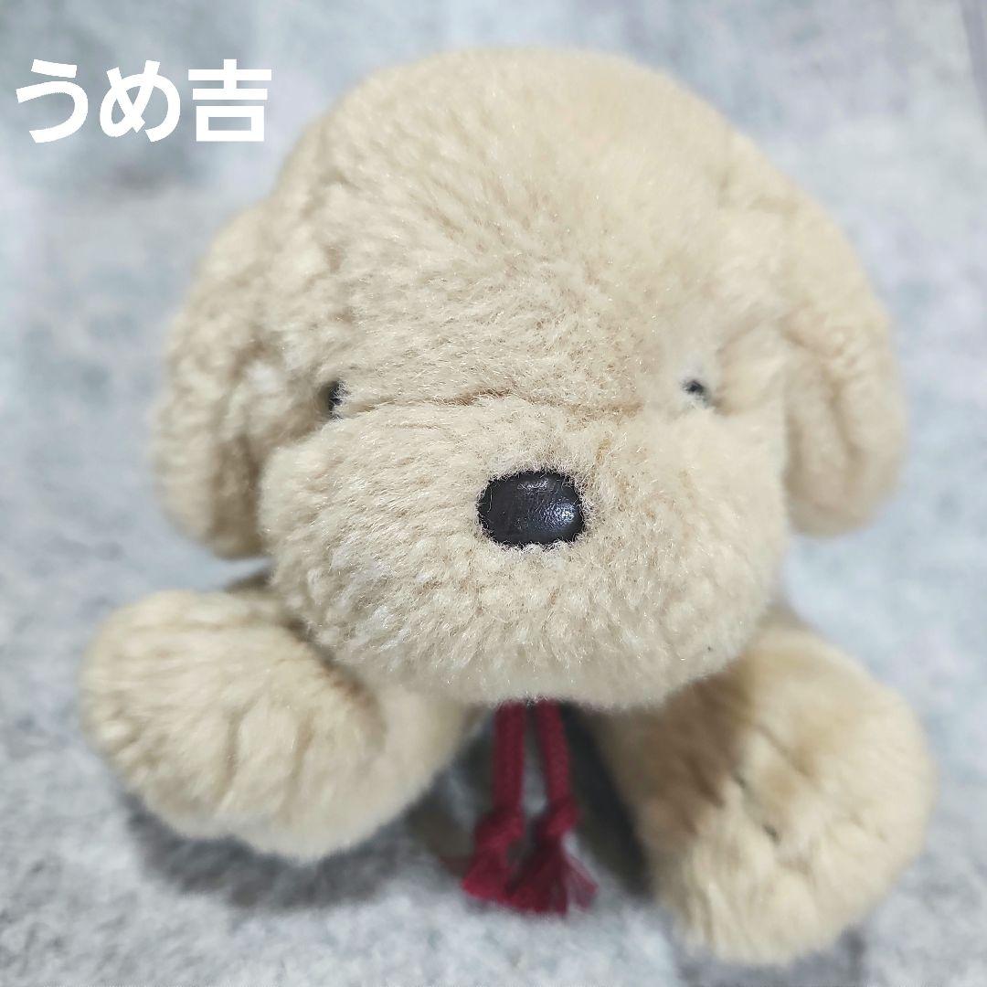 うめ吉 ぬいぐるみ オリエンタルトーイ 昭和 レトロ 犬 癒やし 貴重 レア