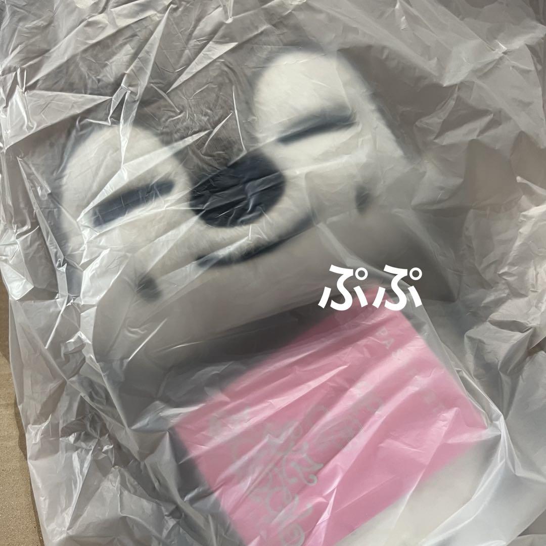 アイドル SKZOO PLUSH TEDDYBEAR Ver. Wolf Chan