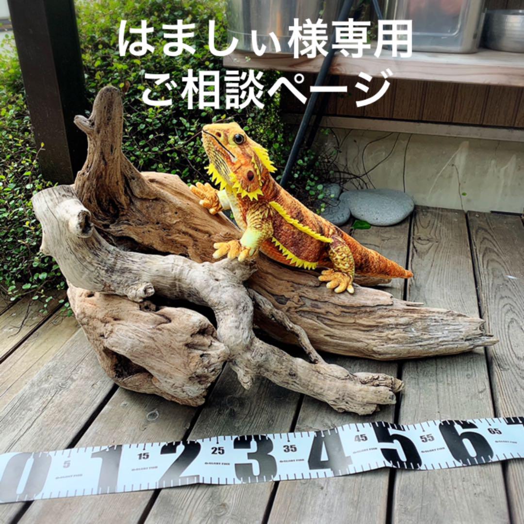 大人気2022 はましぃ様専用ご相談ページ SyJMD-m99078585183 人気高評価