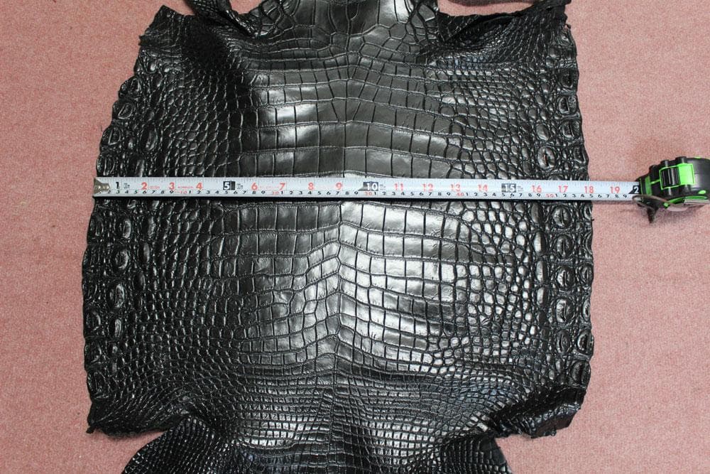 世界的に クロコダイル(シャムワニ)ワニ革 大判1枚 美品 現品限り L