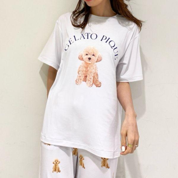 DOG柄ワンポイントTシャツ&ショートパンツセット トイプードル