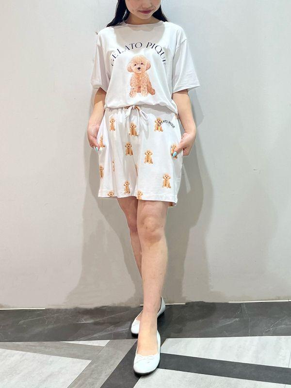 DOG柄ワンポイントTシャツ&ショートパンツセット トイプードル