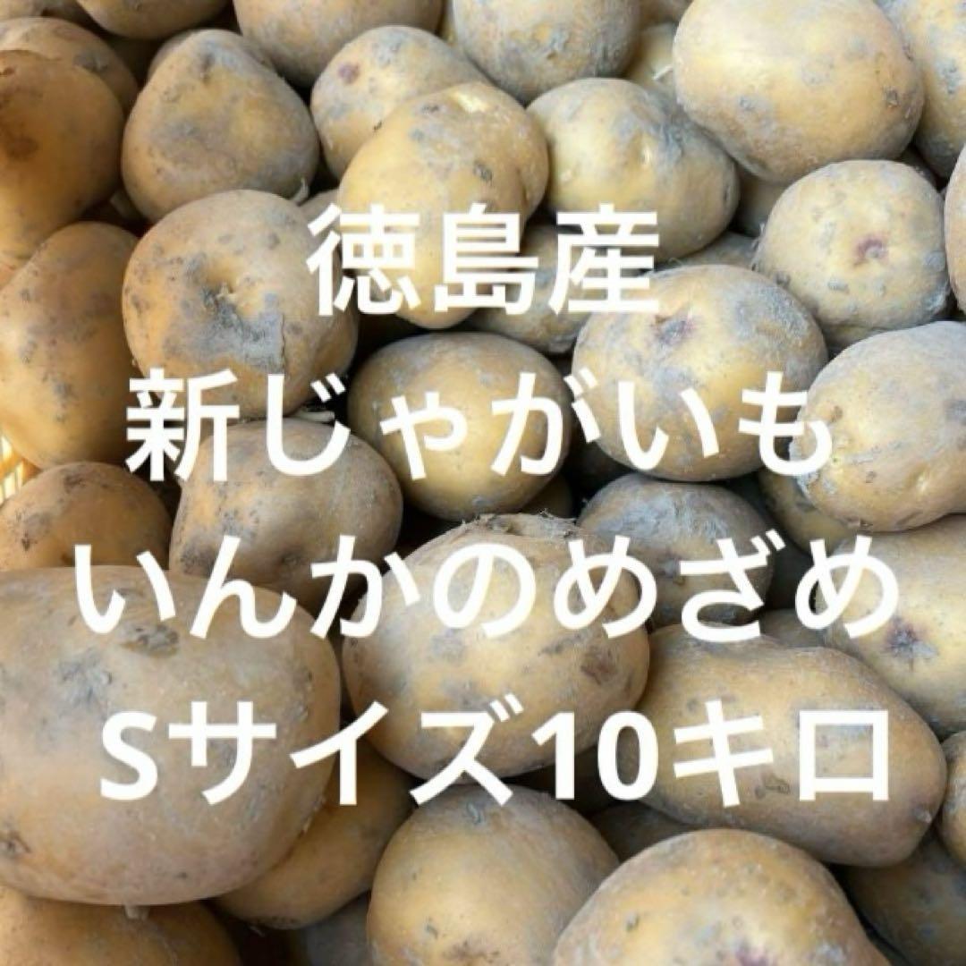 新鮮‼️掘り立て‼️徳島産新じゃがいもインカのめざめSサイズ10キロ