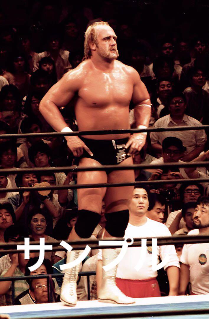 プロレス生写真 ハルクホーガン⑤ 13枚1組 - メルカリ