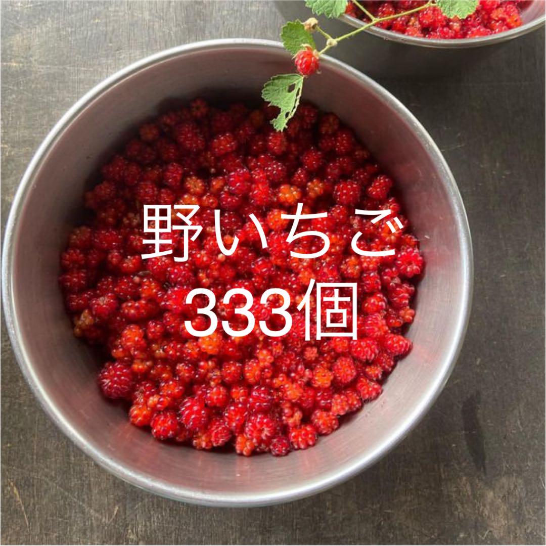 ⭐︎冬の野いちご333個