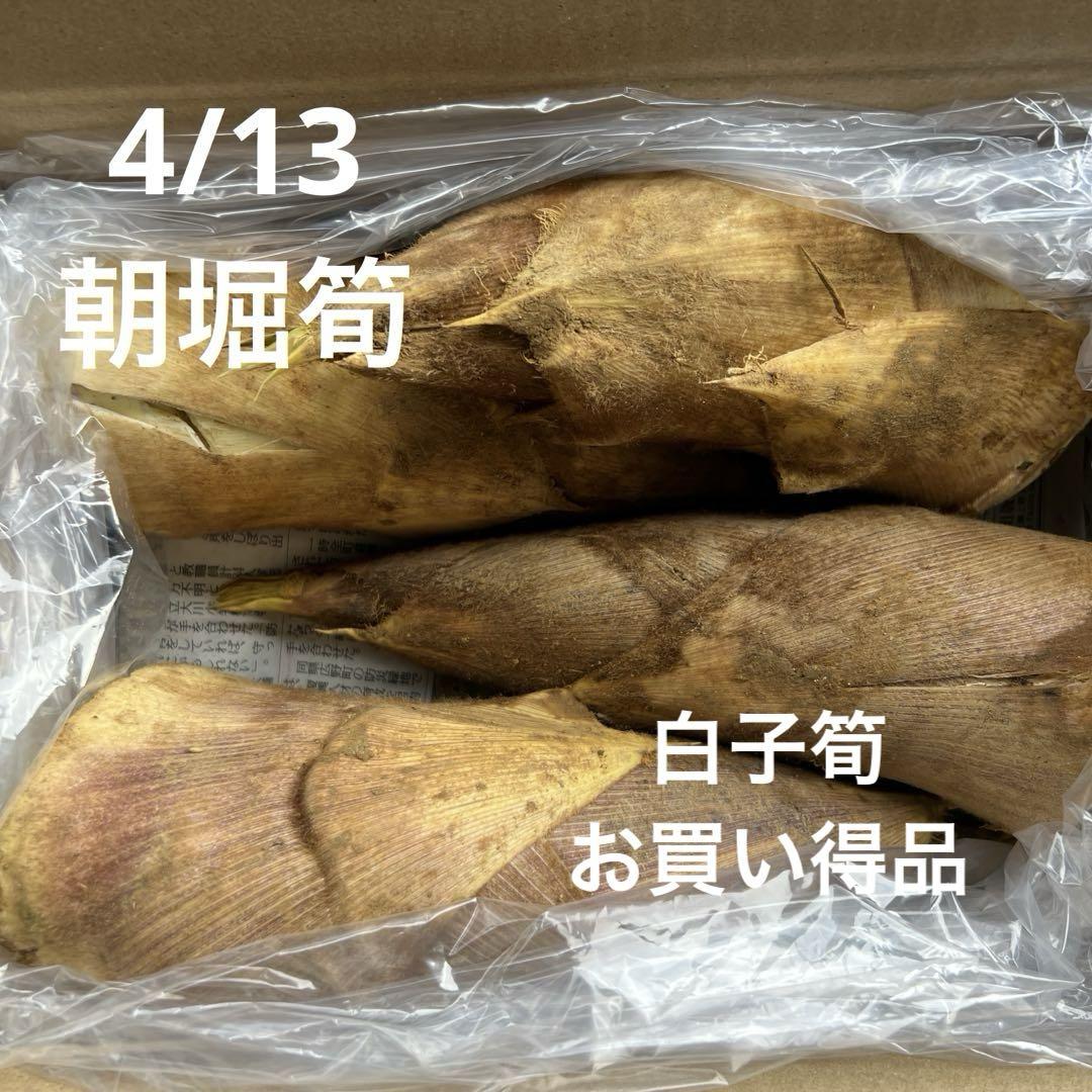 京都産　報恩寺筍　箱込み2.2キロ 送料無料】京都福知山産 報恩寺たけのこ炊込み飯の素 2個セット