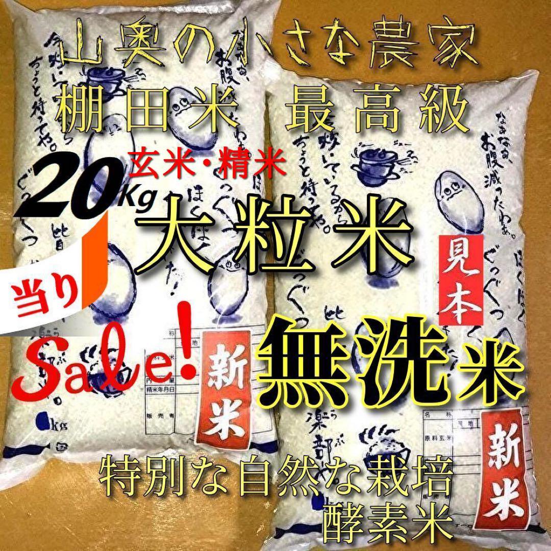 棚田米　酵素米　大粒米　玄米20Kg「無洗米に精米」