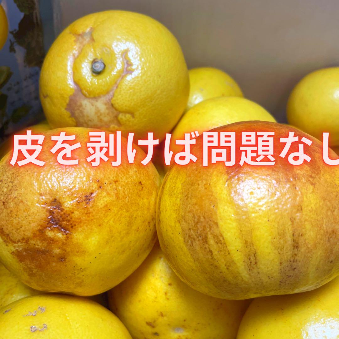 ビッグサイズ　5L.4L 20kg 32