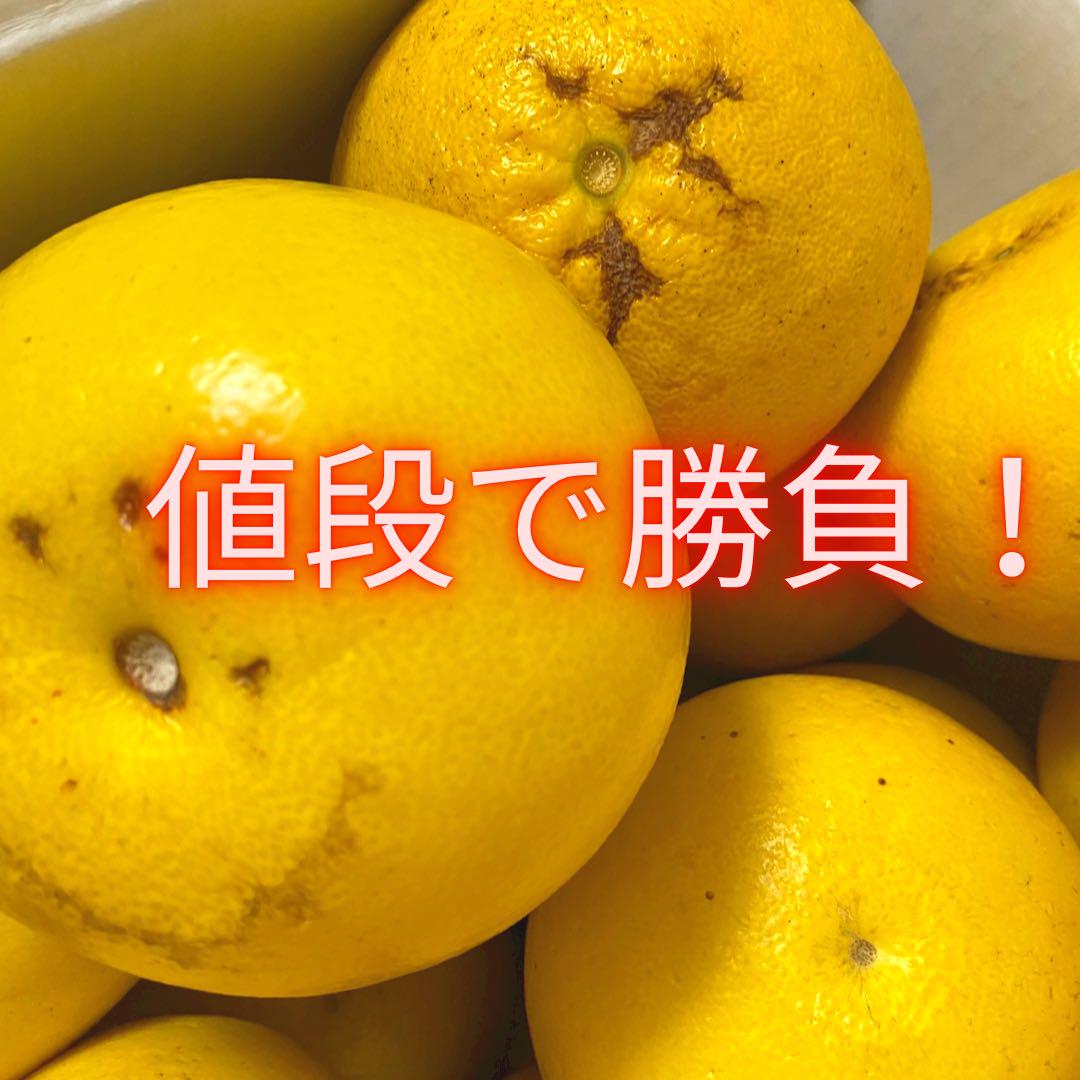 ビッグサイズ　5L.4L 20kg 32