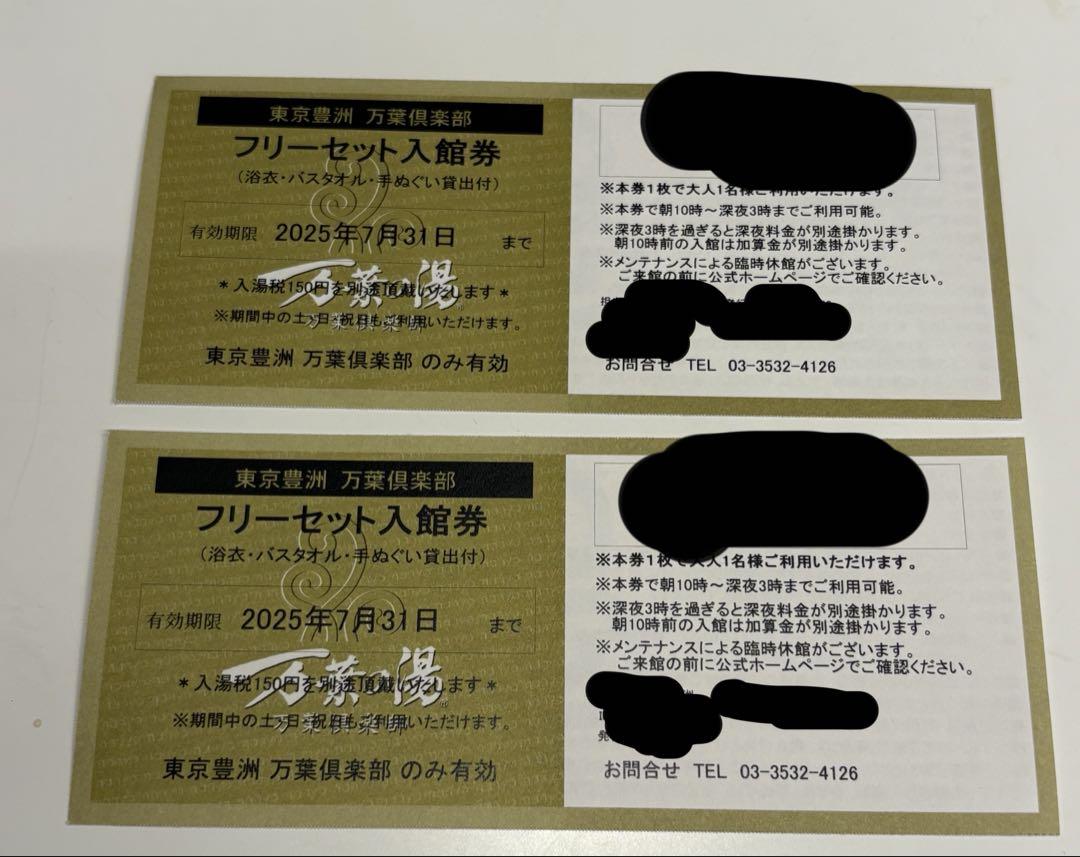 万葉倶楽部　豊洲　大人2名　入館券