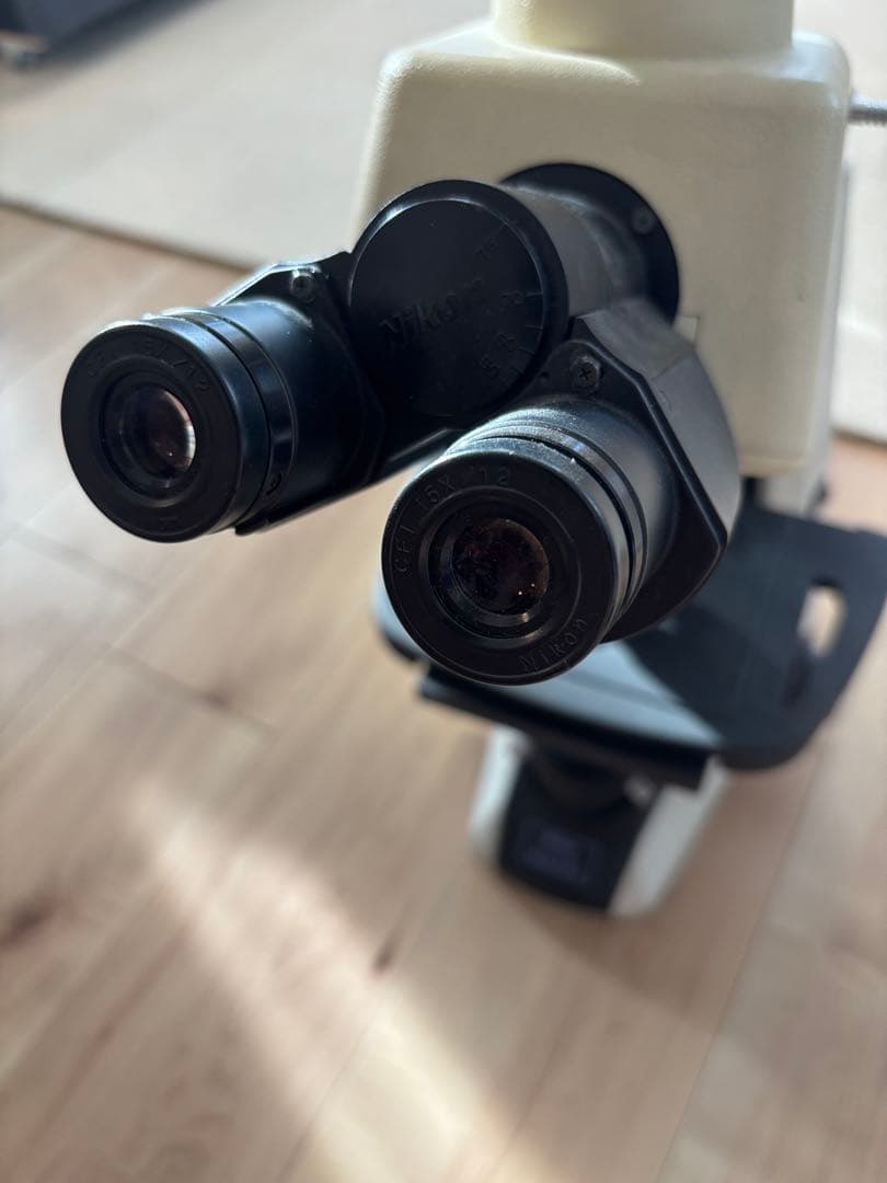 双眼レンズ クリーム色 顕微鏡目立った傷や汚れなし