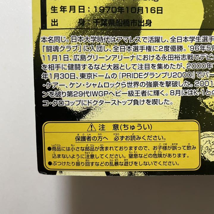 プロレスフィギュア 藤田和之 ベルト付