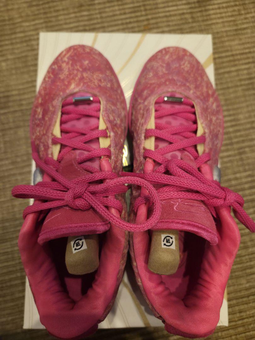 レブロン21　Nike 　ピンク　28センチ