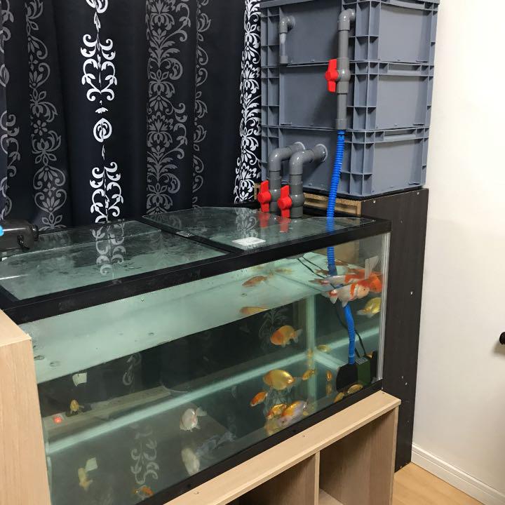 正規店人気 濾過槽 生物濾過物理濾過最強即時発送水中ポンプホース無料付き jPVZH-m99227198809 ろ材濾過装置 正規店新作