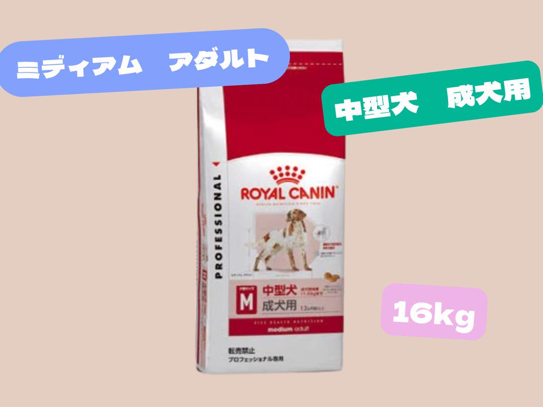  CANIN 中型犬 成犬用 ミディアム アダルト16kg ☆ロイヤルカナン ミディアム アダルト16kg☆中型犬成犬用！