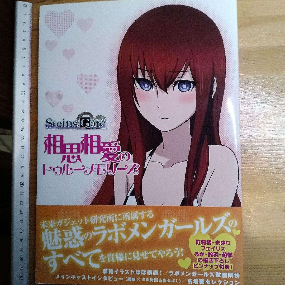 STEINS;GATE 相思相愛のトゥルーメモリーズ 初版 STEINS；GATE 相思相愛のトゥルーメモリーズ | 未来