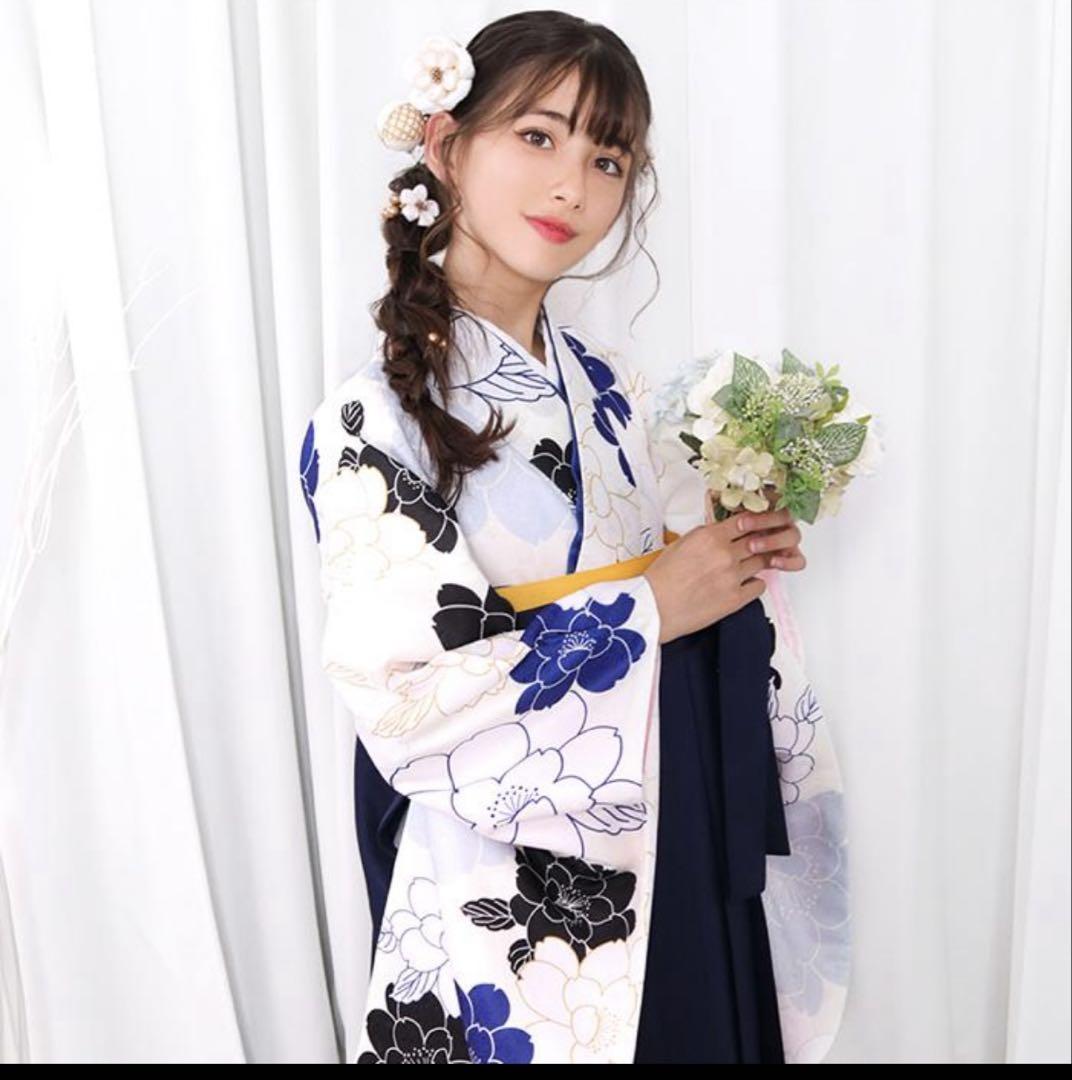 No.2499 正絹紗観世水葉柄夏袋帯 No.2499 正絹紗観世水葉柄夏袋帯 - メルカリ