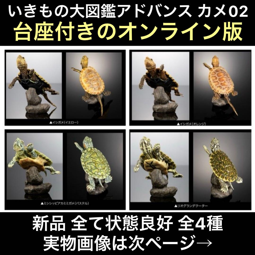 オンライン版 全種 いきもの大図鑑アドバンス カメ02 イシガメ アカミミガメ他
