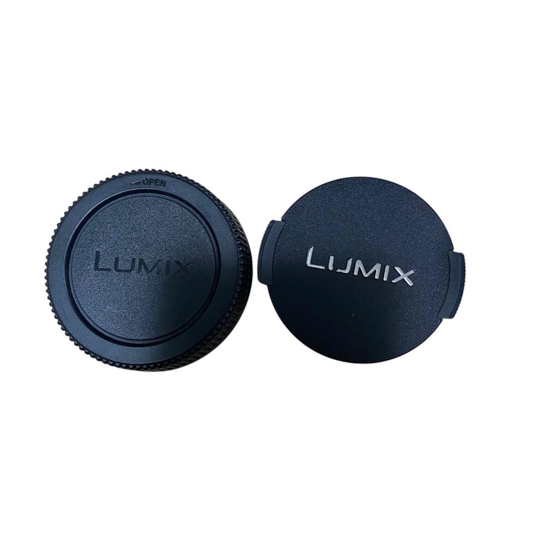 【極美品】Panasonic LUMIX G 14mm F2.5 ASPH.