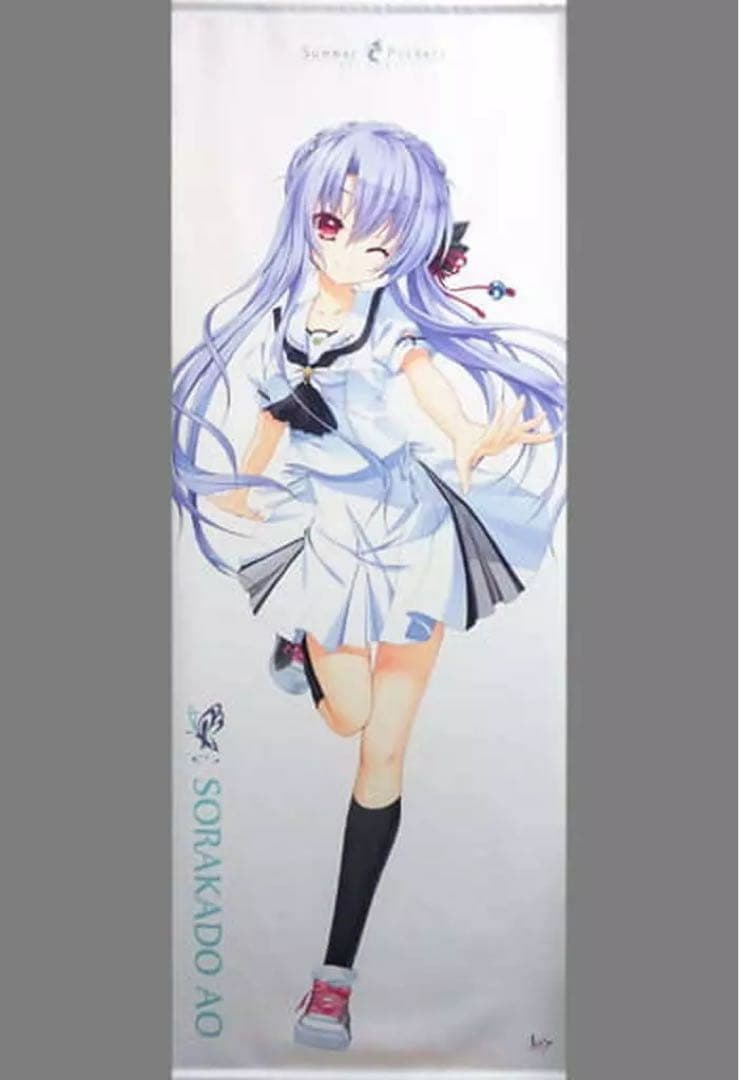 サマポケ 空門蒼等身大タペストリーやや傷や汚れあり