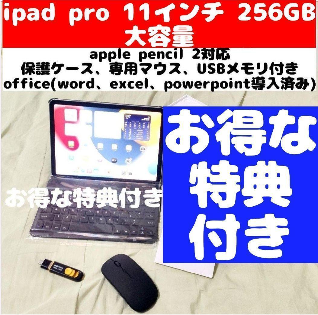 IPAD PRO 11インチ 258GB マウス、USBメモリ、キーボード
