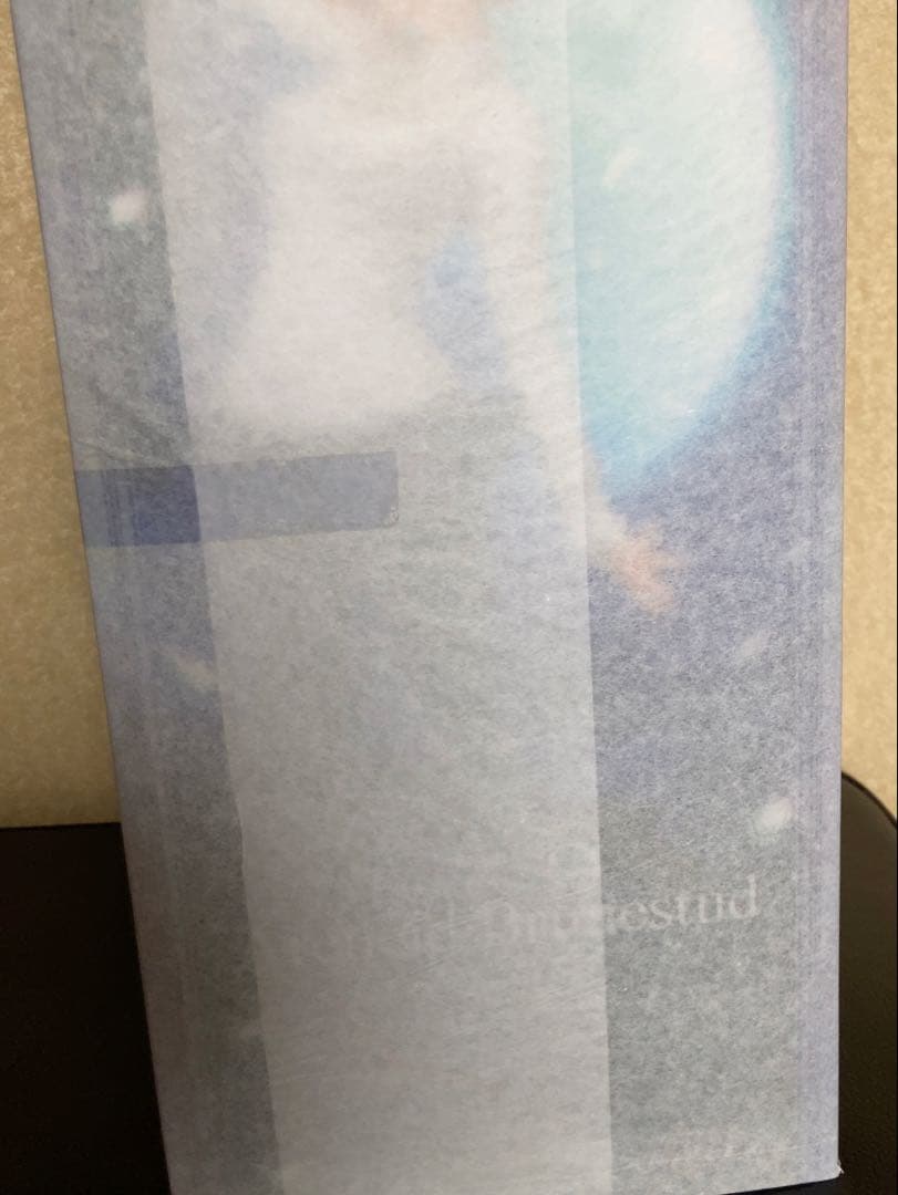 RT108844専用　月姫　アルクェイド・ブリュンスタッド（ALTER）