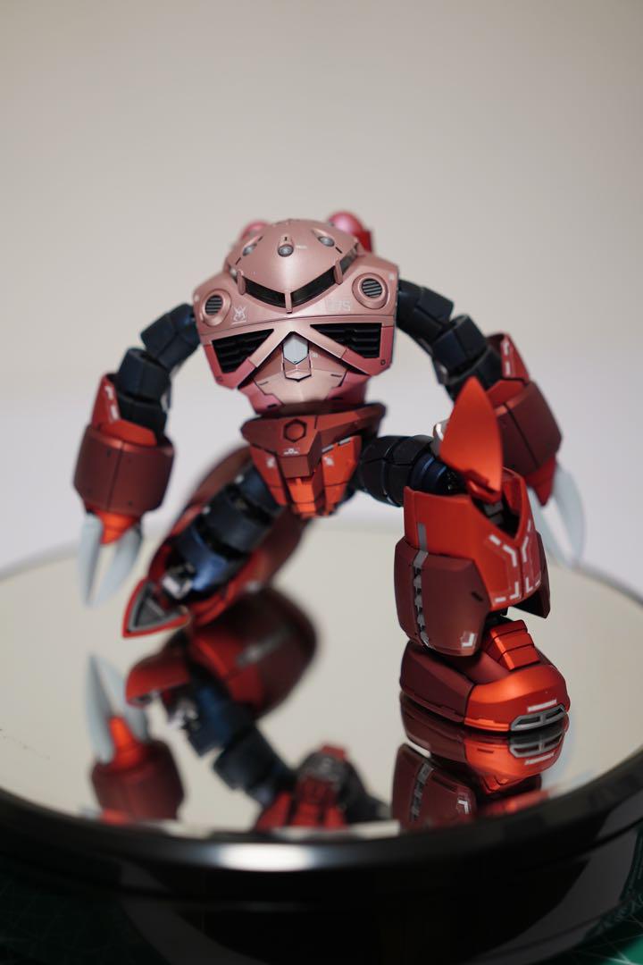 RG 1/144 MSM-07S シャア専用ズゴック　メタリック全塗装　完成品