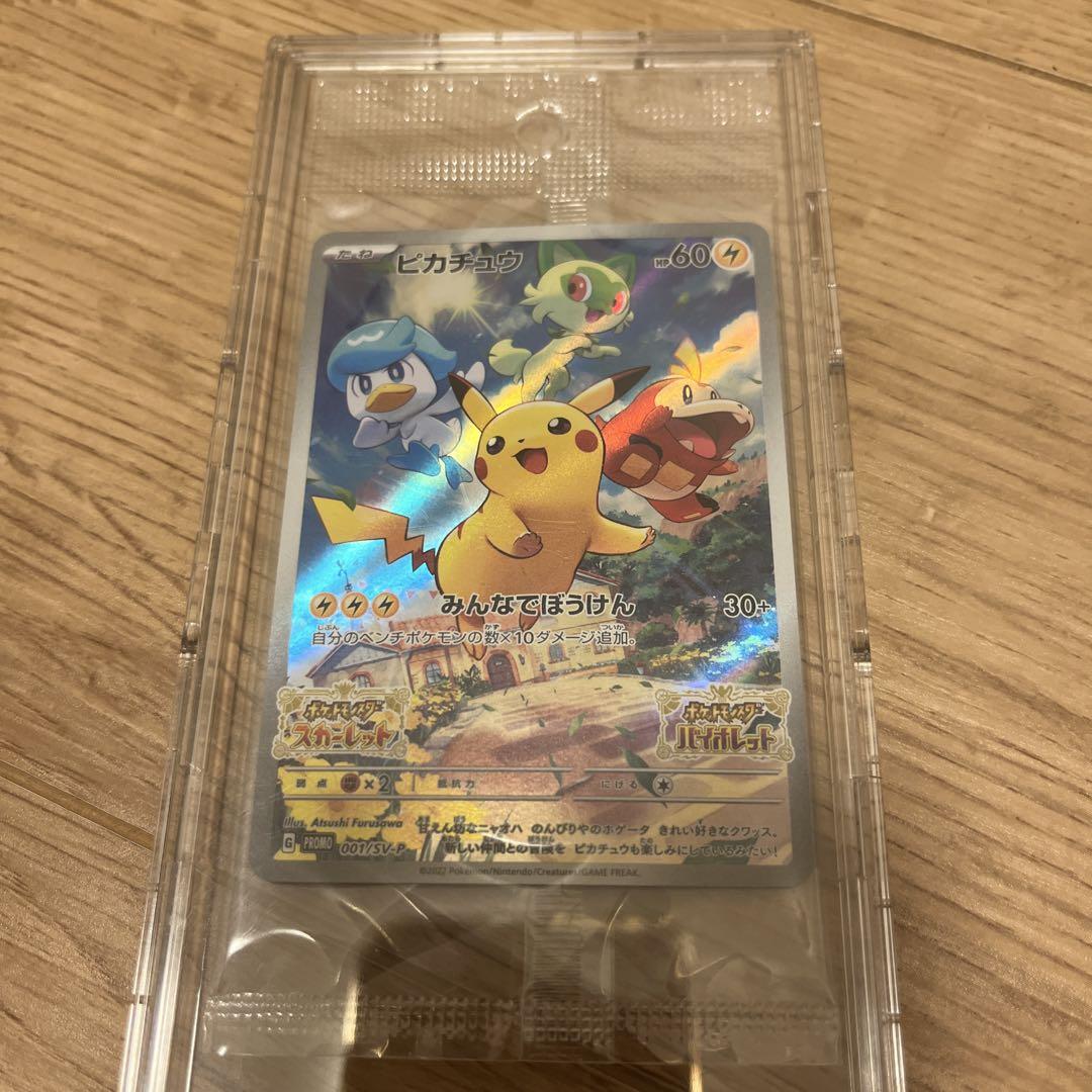 袋付きピカチュウ：パッケージ版ポケットモンスター