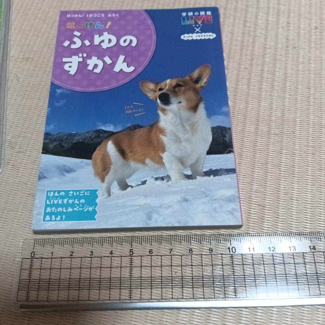 はっけん！ずかん はるなつあきふゆ 学研の図鑑LIVE 4冊セット