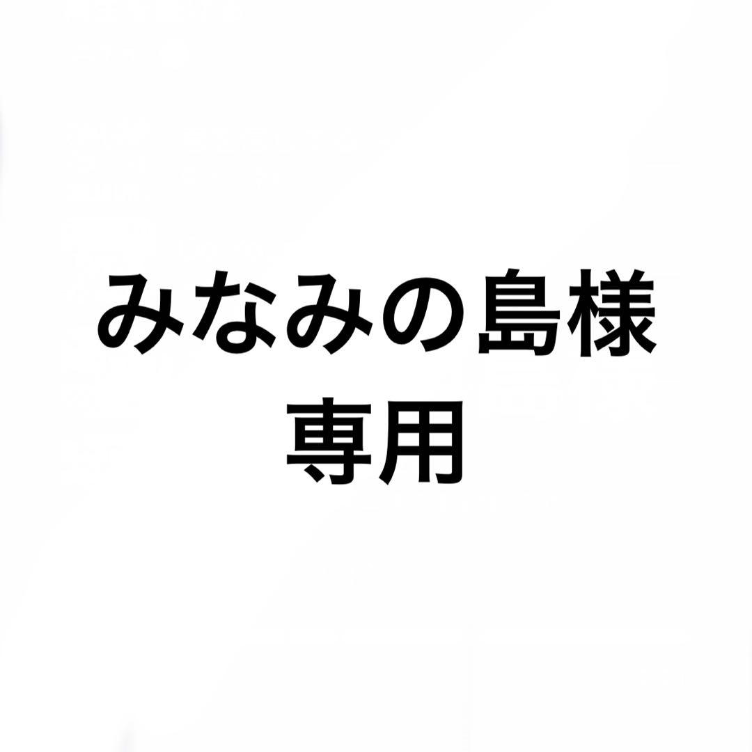 みなみの島様専用