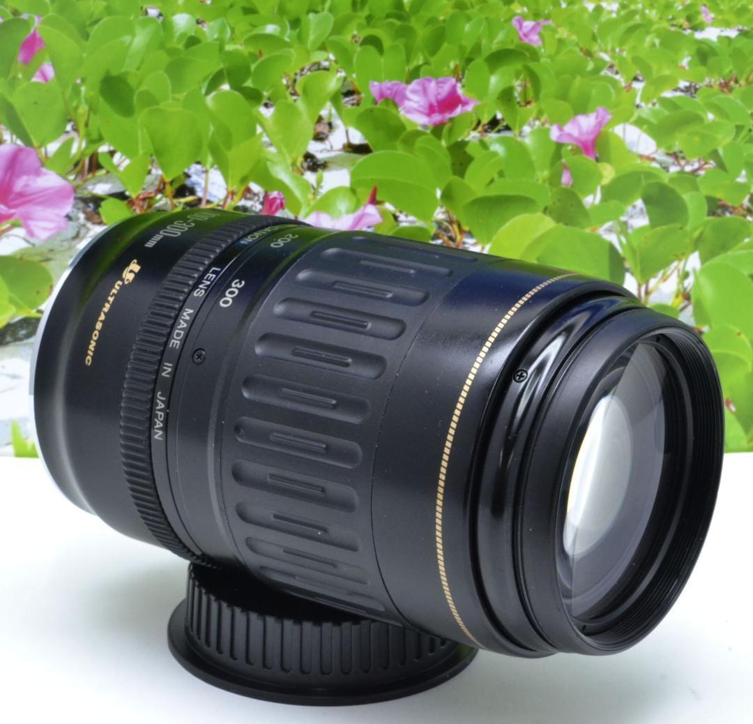 キヤノン 望遠レンズ Canon EF100-300mm 望遠を始めませんか