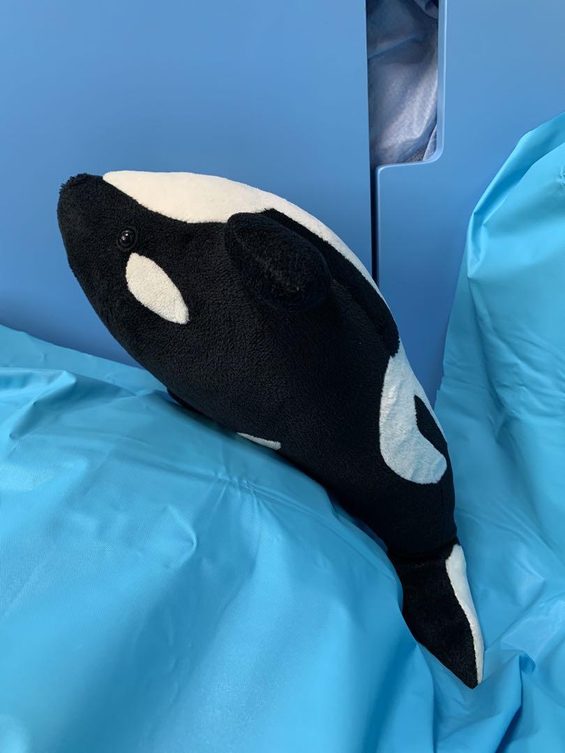 名古屋港水族館シャチのクーちゃん