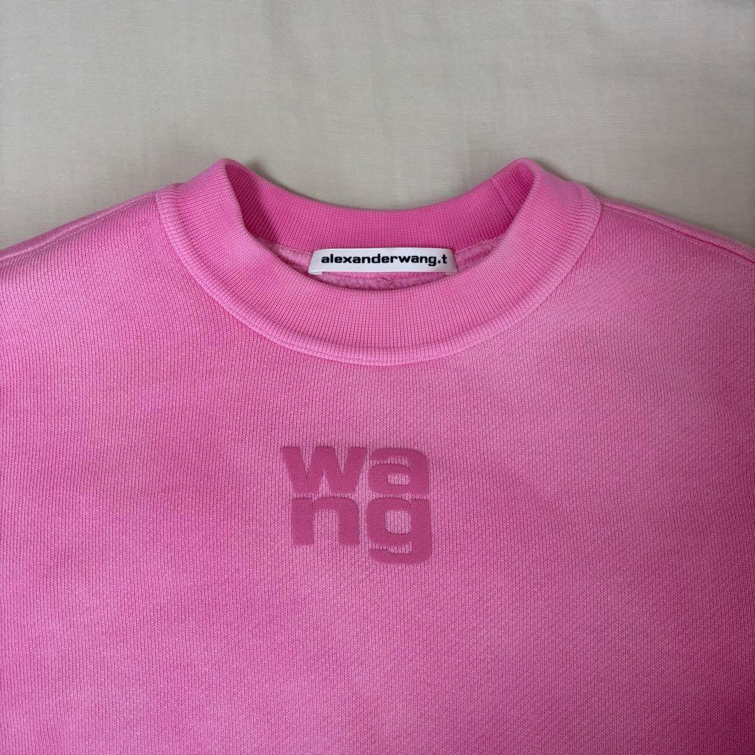 alexanderwangスウェットシャツXXS以下 Alexander Wang