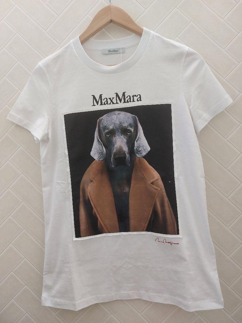 Max Mara MAX MARA マックスマーラ 半袖 Tシャツ CIPRIA