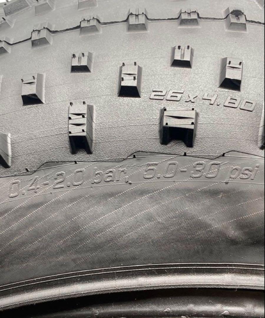 schwalbe jumbo jim 26×4.80 2本セット　タイヤ