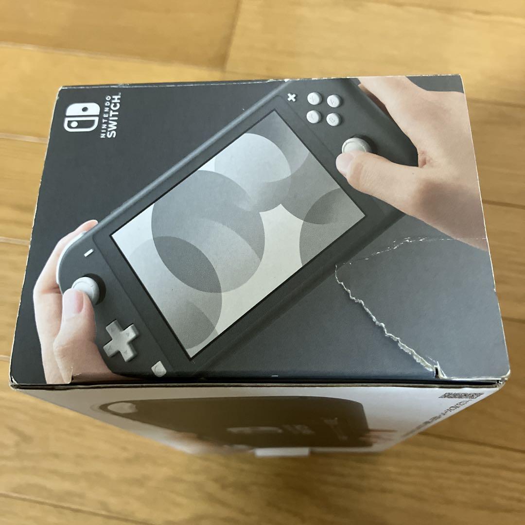 杉山Nintendo Switch Lite グレー
