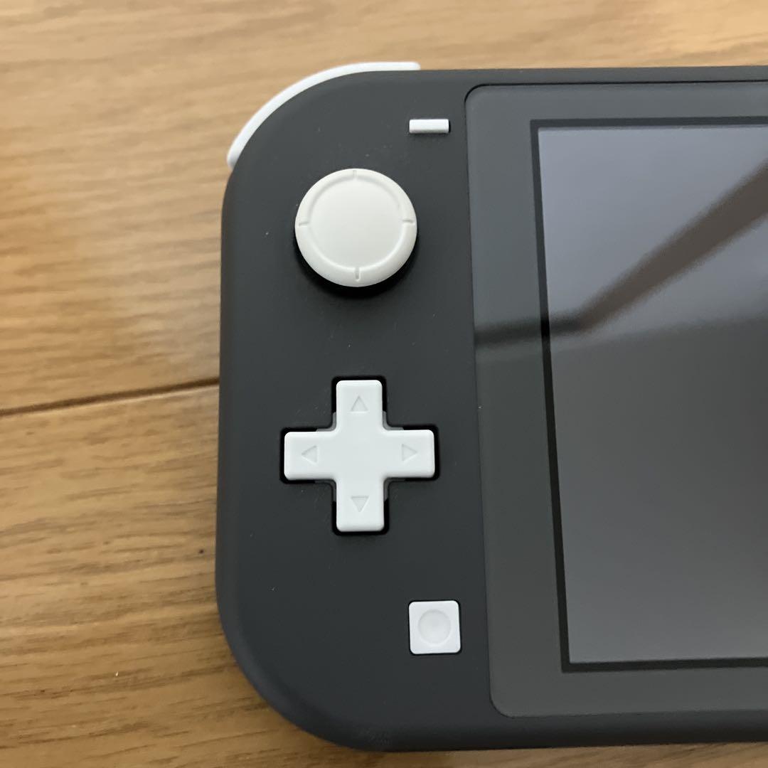 杉山Nintendo Switch Lite グレー