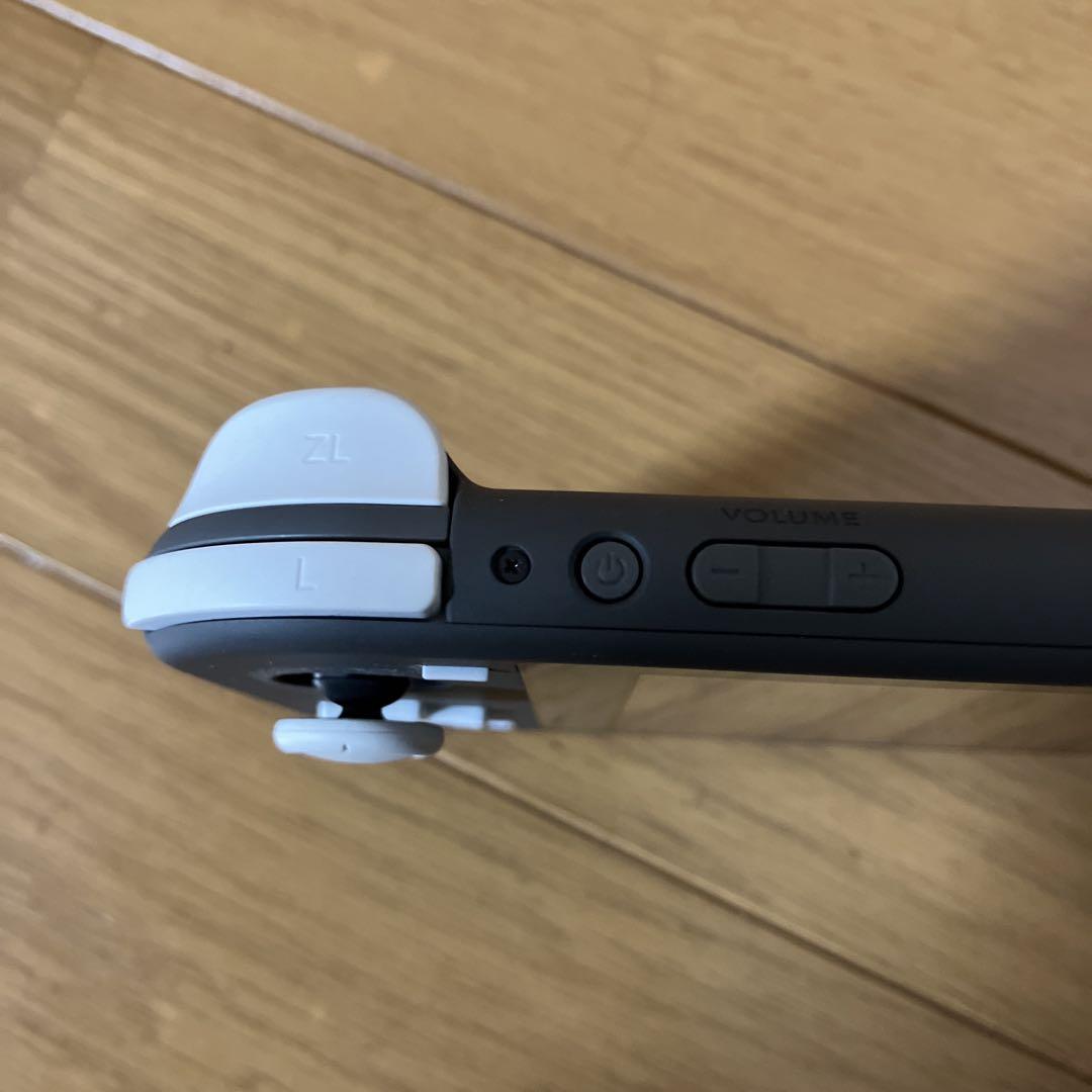 杉山Nintendo Switch Lite グレー