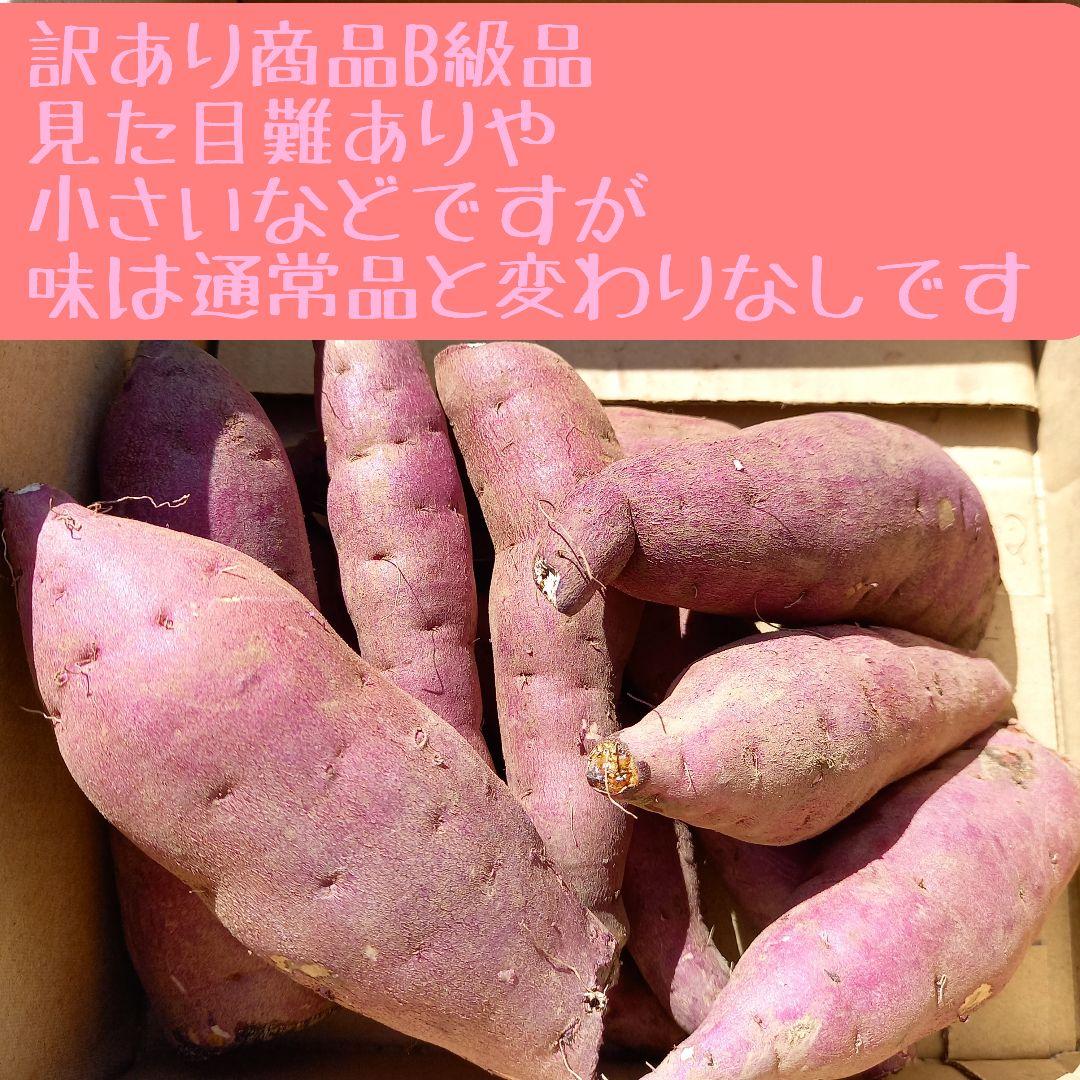 10キロ令和4年度産新物・初物サツマイモ紅はるかご家庭用Sサイズ訳あり品 - メルカリ 10キロ令和4年度産新物・初物サツマイモ紅はるかご家庭用Sサイズ訳あり品 - メルカリ