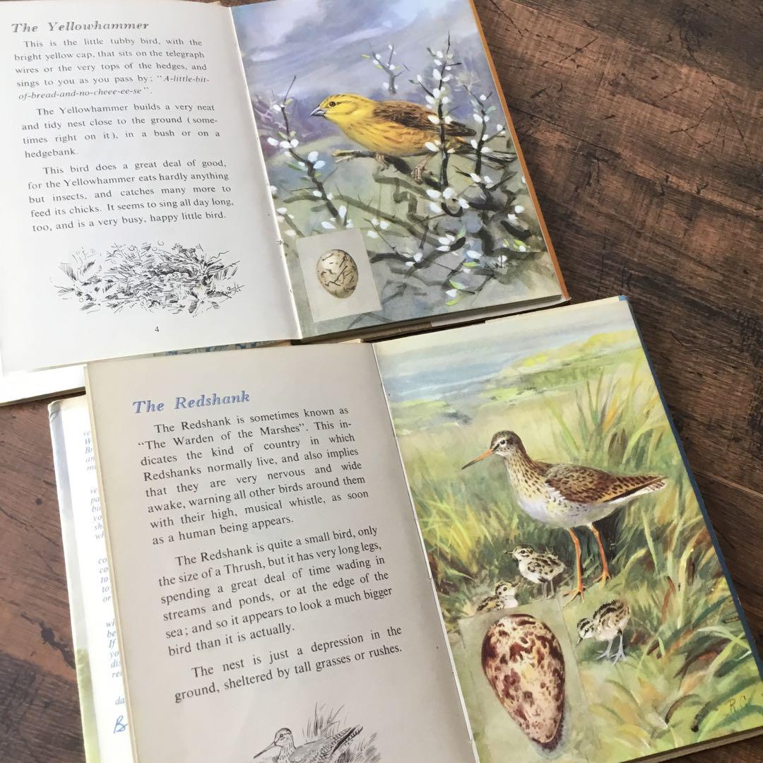 洋書　古書　Familiar Wild Birds 1&2巻　アンティーク鳥図鑑 洋書 古書 Familiar Wild Birds 1&2巻 アンティーク鳥図鑑