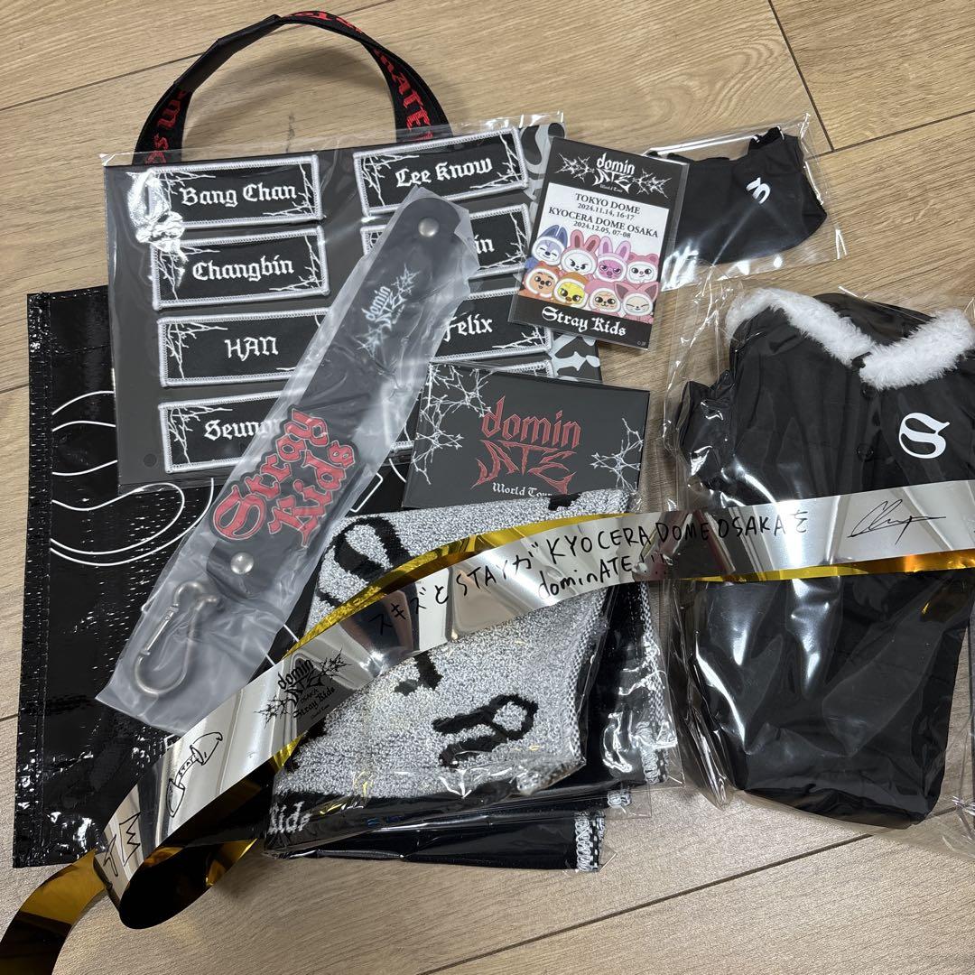 スキズ アプグレグッズ2024 抜けなし - アイドル新しい