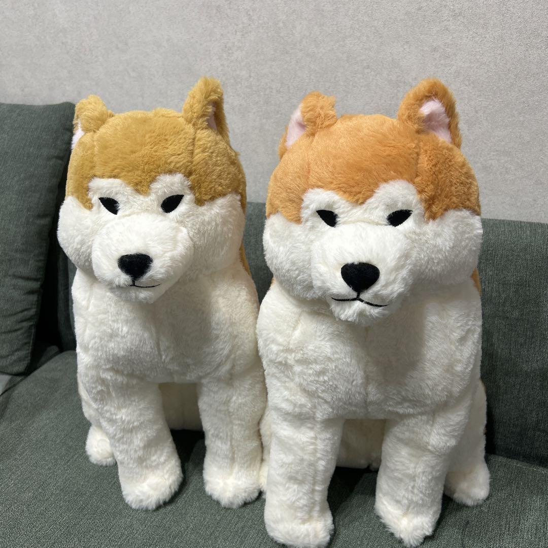 ほっこり秋田犬　はち兵衛　ぬいぐるみ