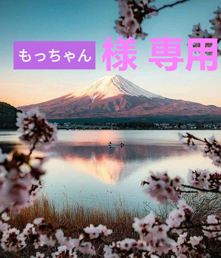 もっちゃん様の専用