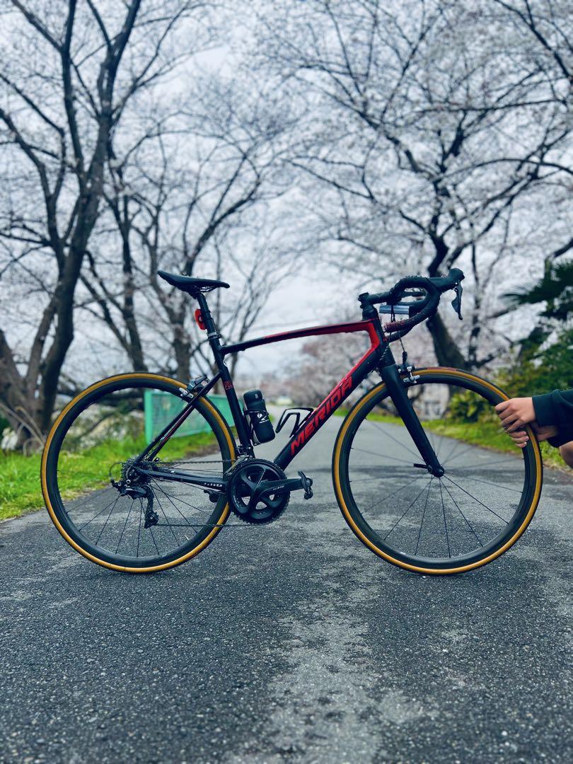 MERIDA ライド80フレームのみ