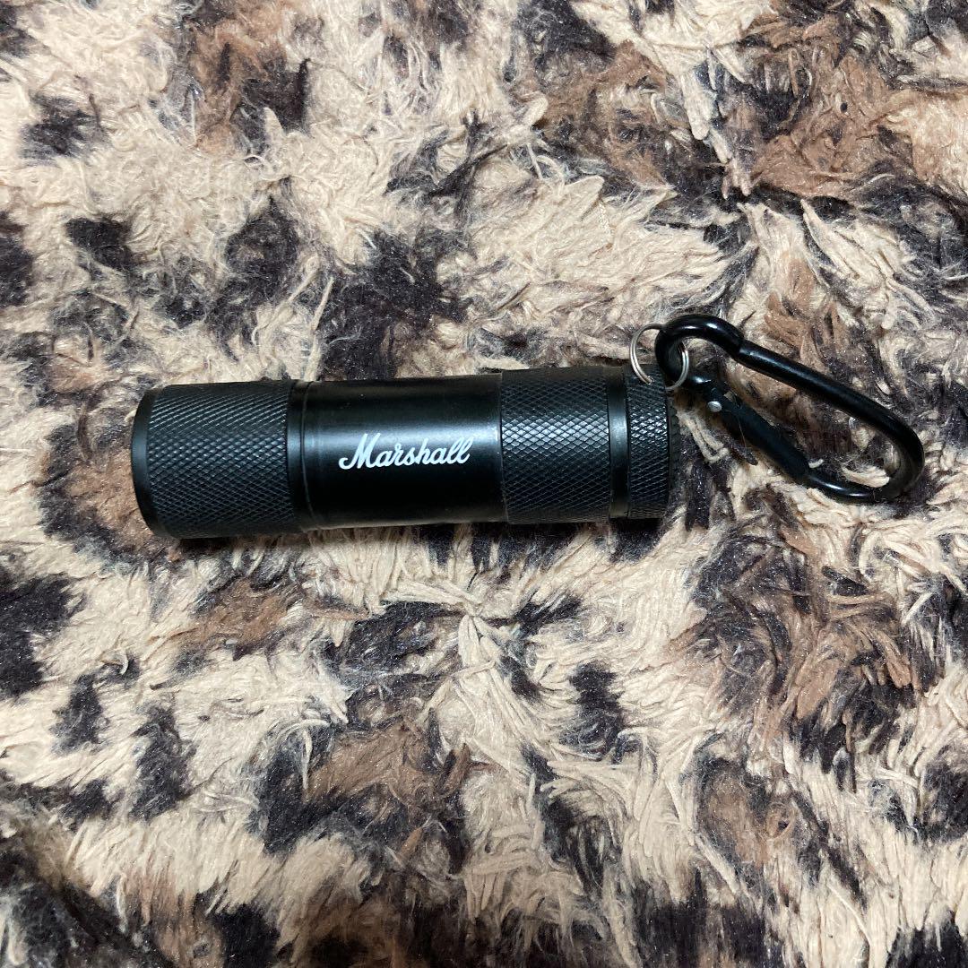 Marshallのライト激レア