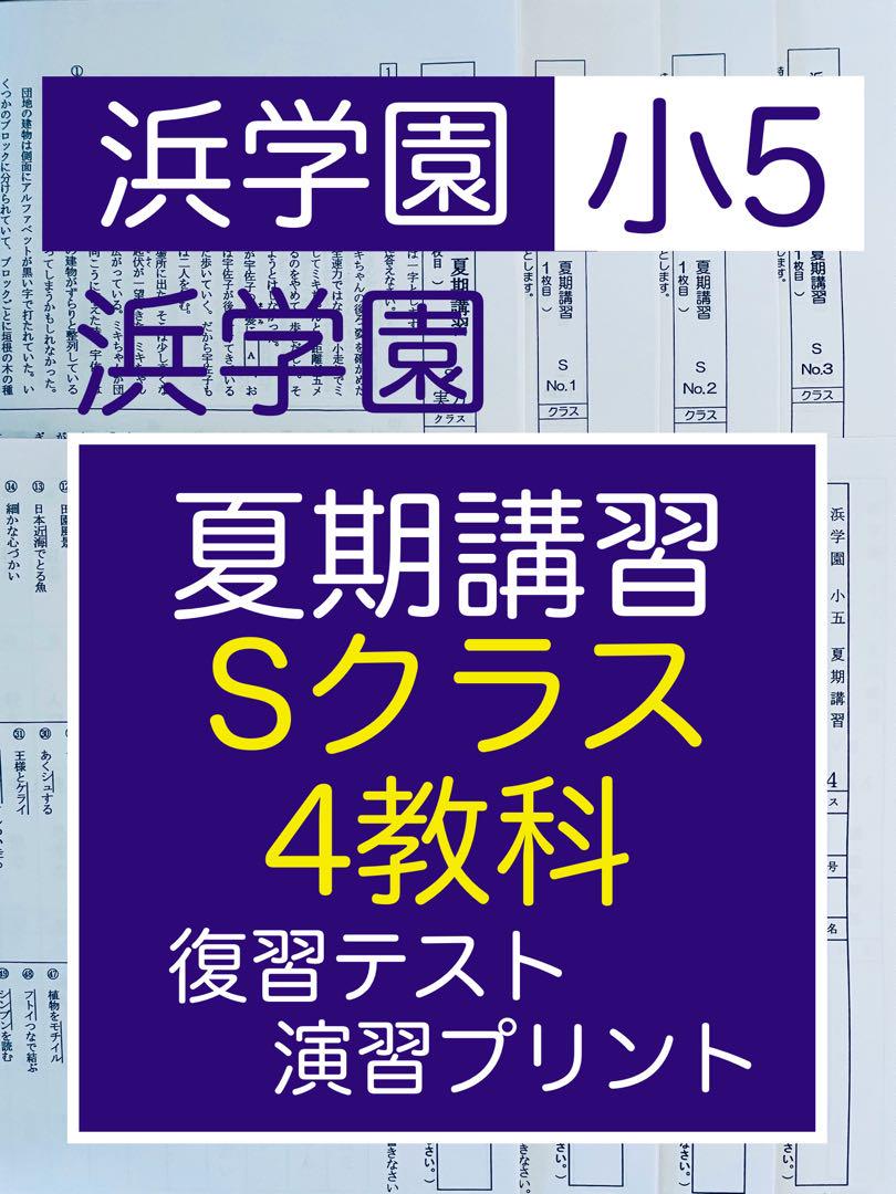 小3 復習テストSクラス1年分 浜学園小3国語 Sクラス 復習テスト - メルカリ